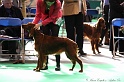 Crufts2011 109